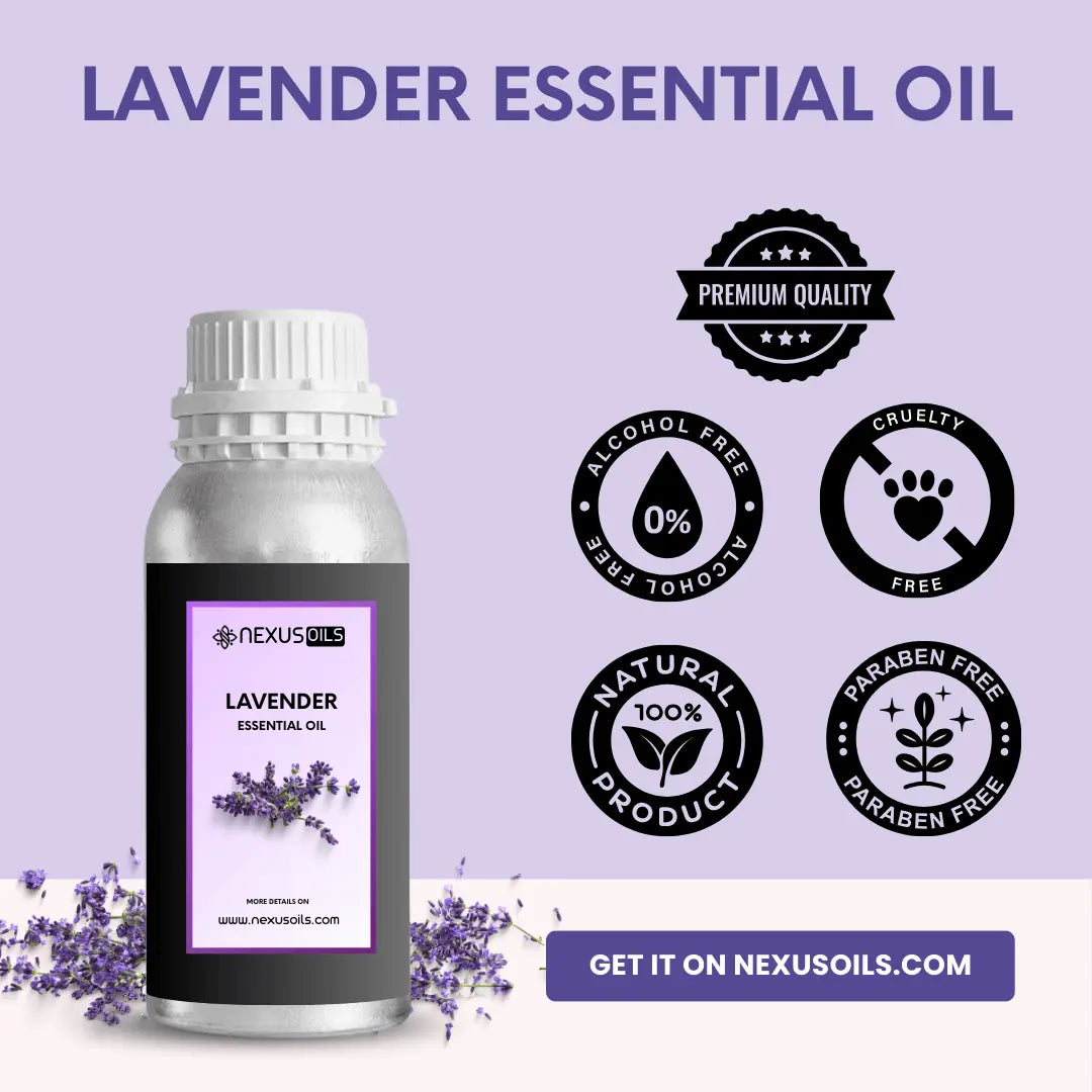 Lavender Essential Oil Buy